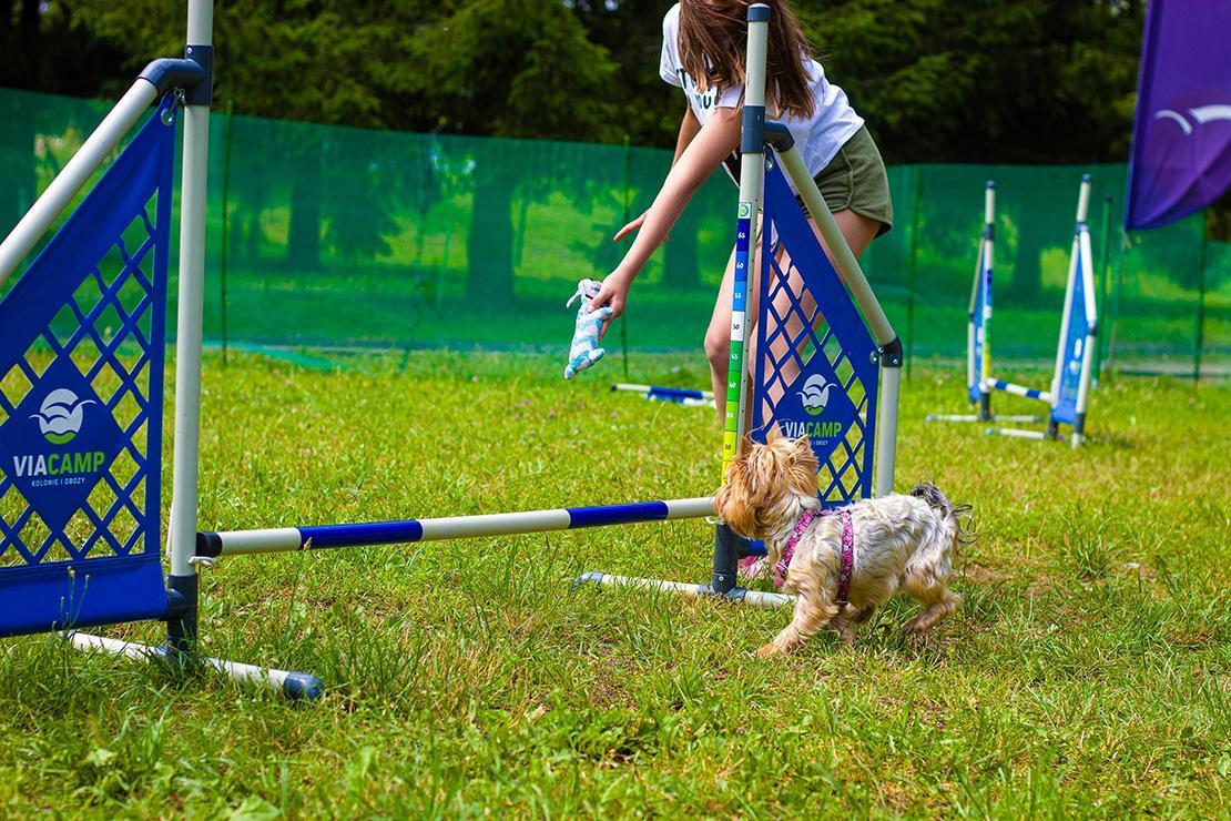 ViaCamp - Kolonie i Obozy Młodzieżowe - Obóz z Psem