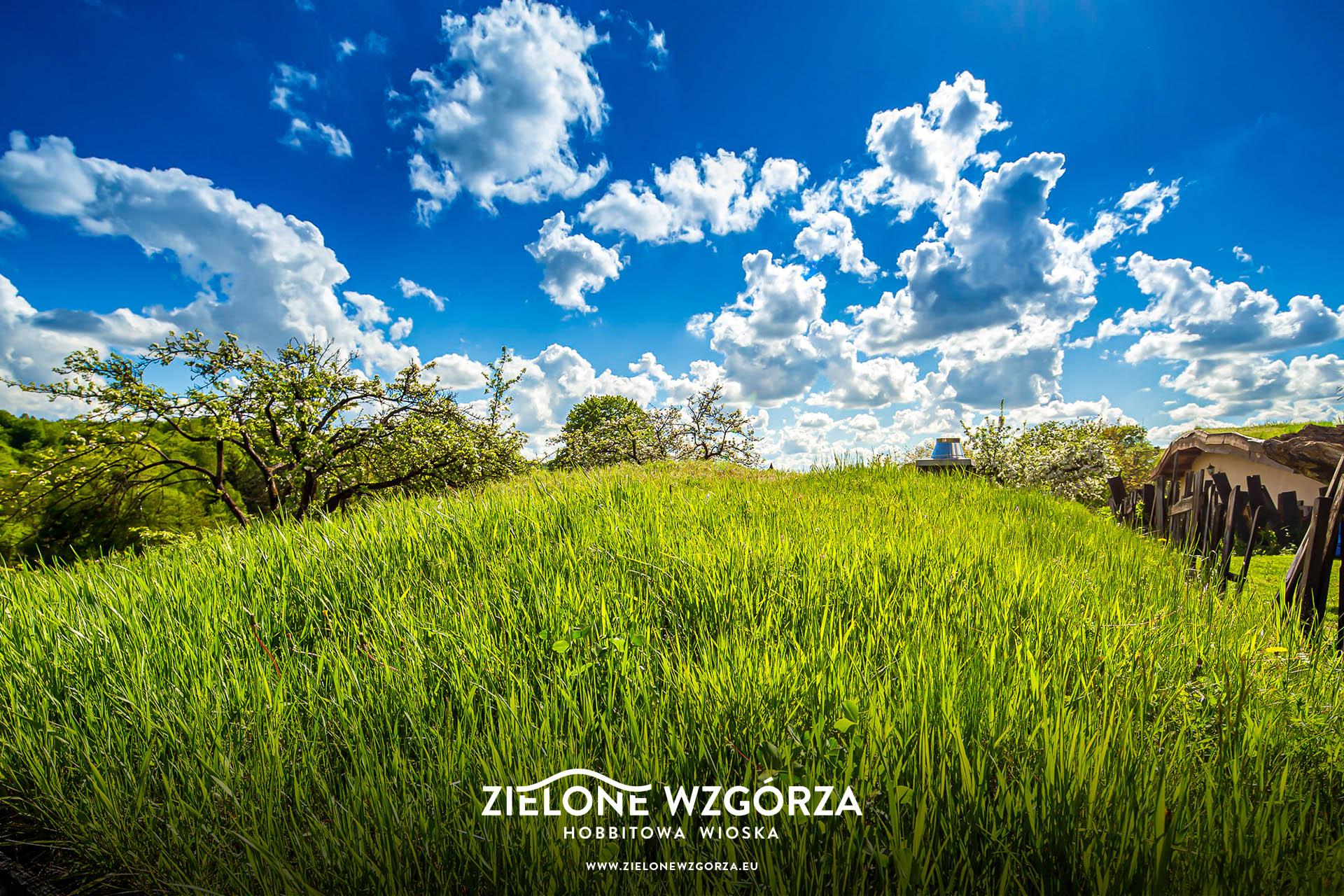 Zielone Wzgórza — Hobbitowe Domki na Kaszubach — ul. Uhlenberga 8A, 83-047 Przywidz — ViaCamp.pl