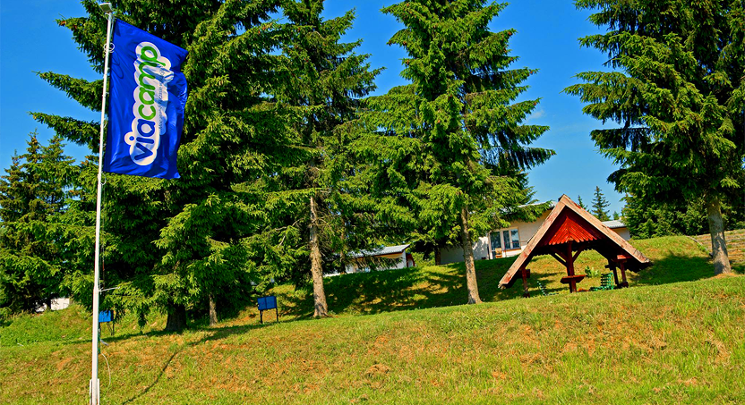 Kolonie i Obozy Młodzieżowe ViaCamp